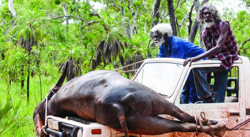 Charlie's Country - CineFatti