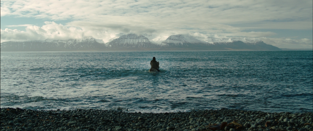 Storie di uomini e cavalli