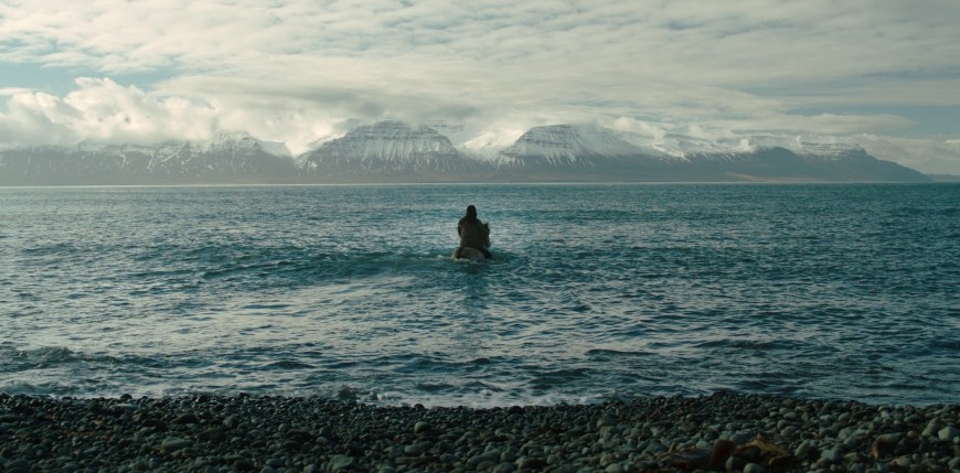 Storie di uomini e cavalli