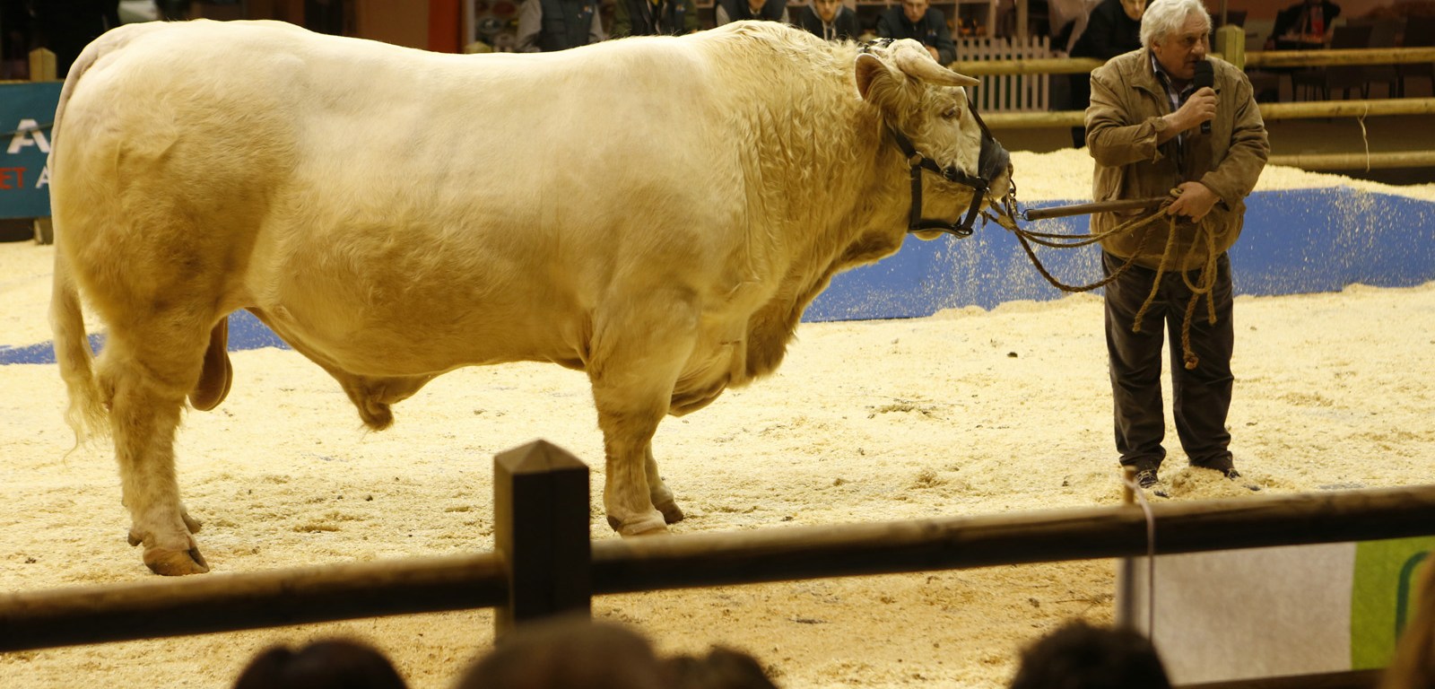 Saint Amour - CineFatti