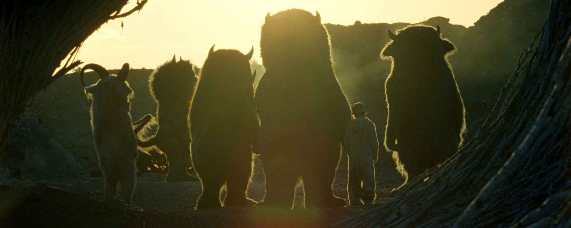 Nel paese delle creature selvagge - CineFatti