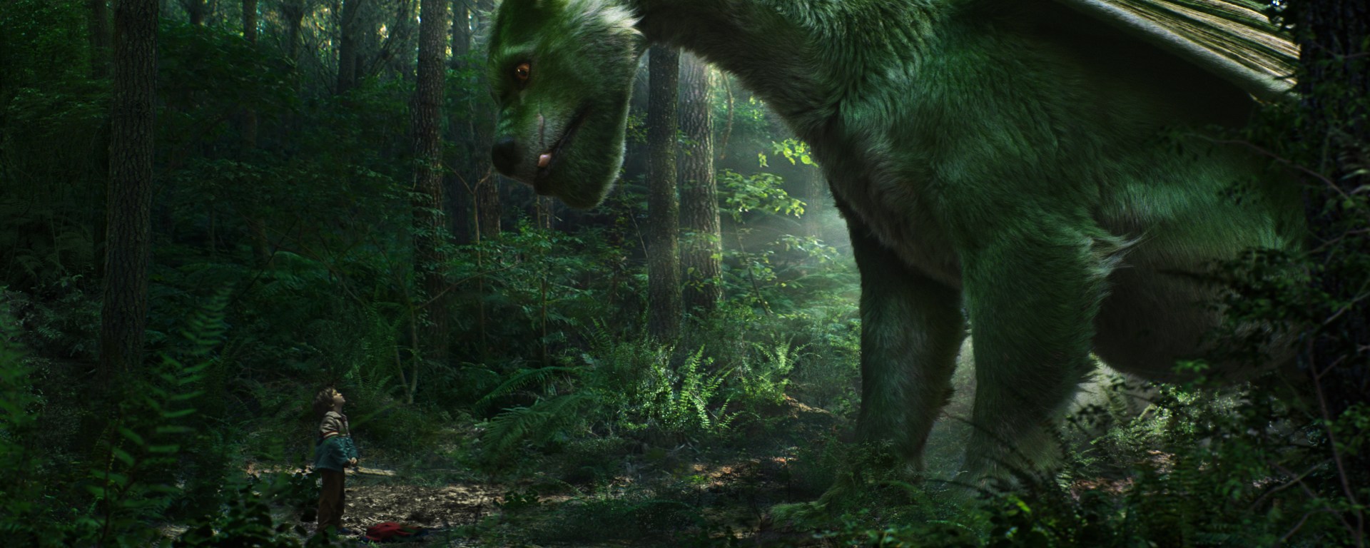 Il drago invisibile - CineFatti