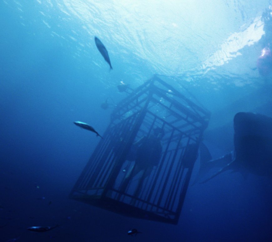 47 metri - CineFatti