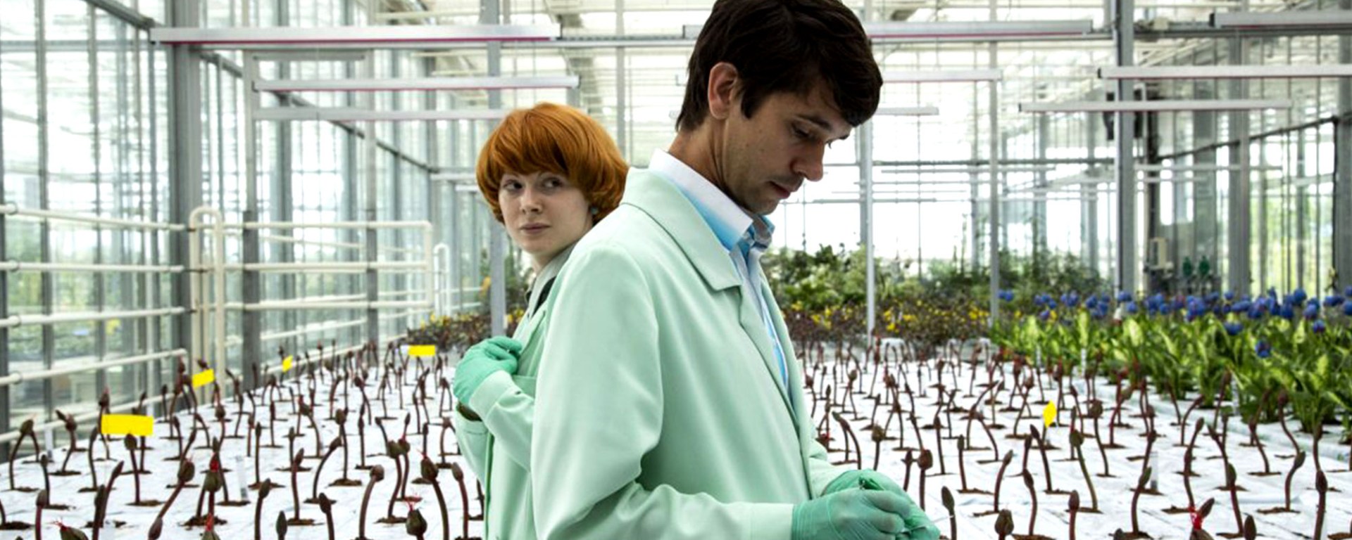 Little Joe - CineFatti