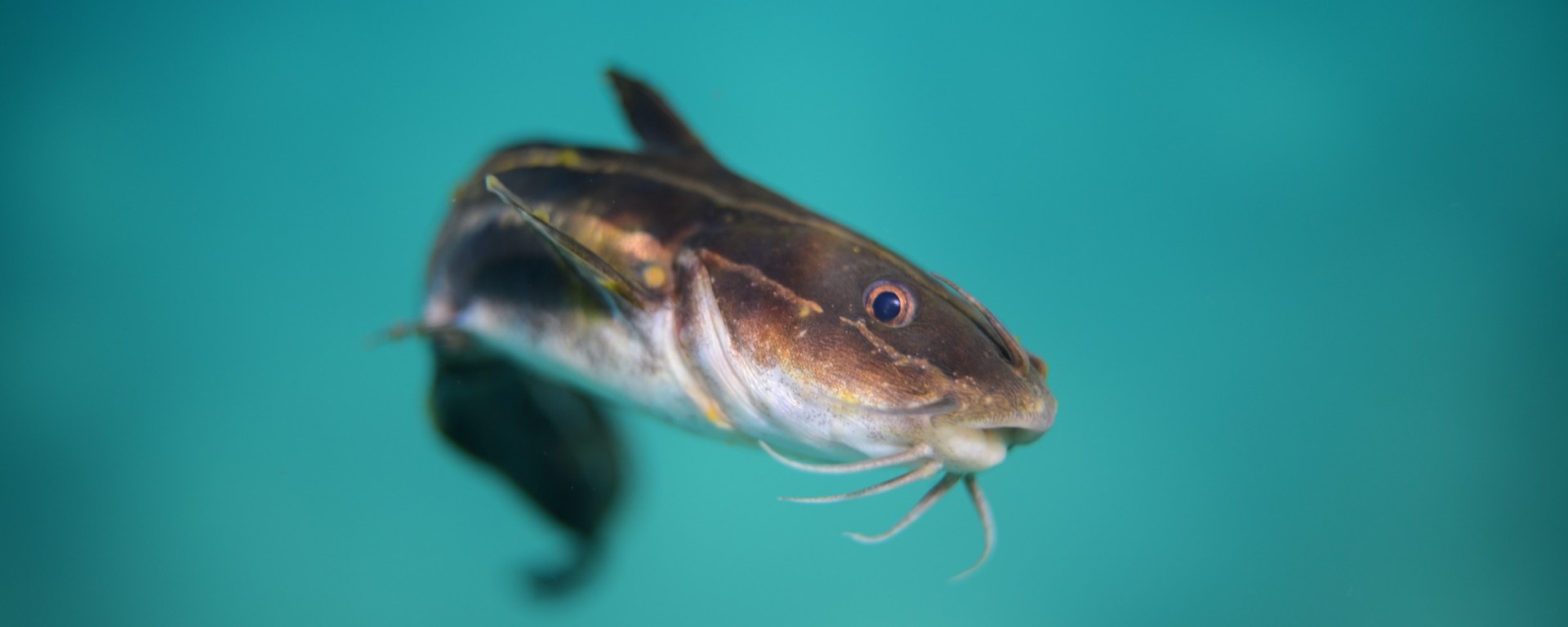 Accadde Oggi Settembre 2020 - CineFatti